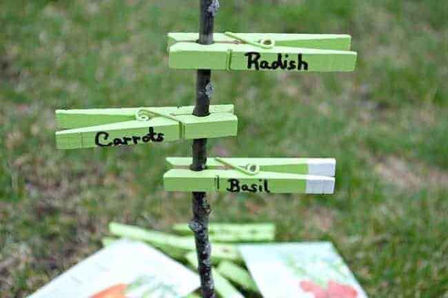 Pegs as Plant Labels