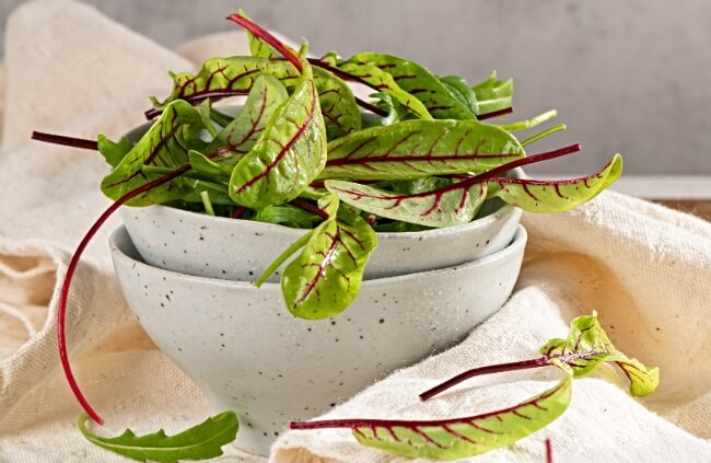 Sorrel is a versatile herbaceous plant prized for its tangy flavour and nutritional benefits