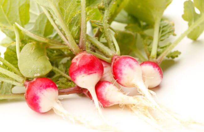 Radish ‘Sparkler’