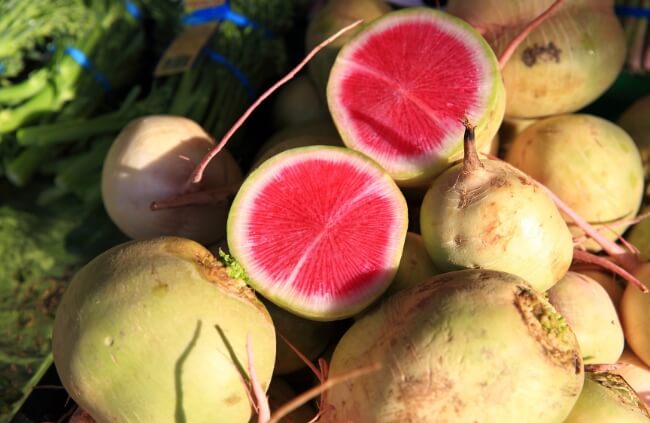 Radish ‘Watermelon’