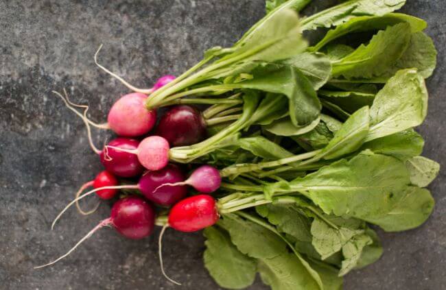 Radish ‘Easter Egg’