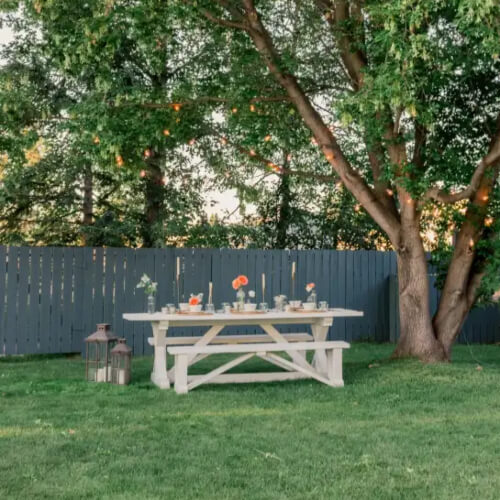 Backyard Picnic Outdoor Dining