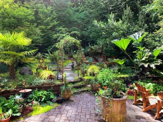 Modern backyard garden with tropical plants and outdoor decor inspired by Australian garden trends.